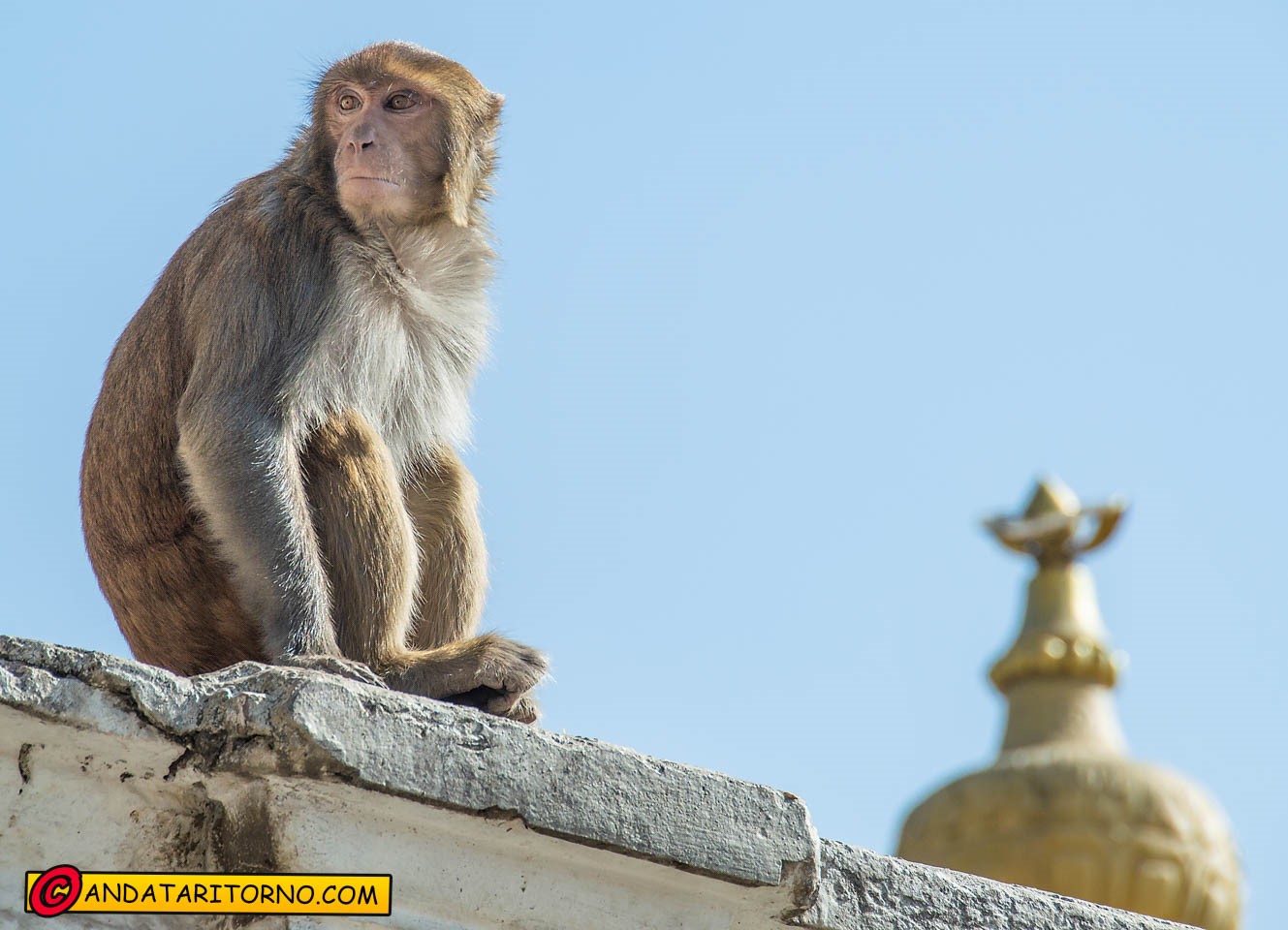 Tempio di Pashupatinath