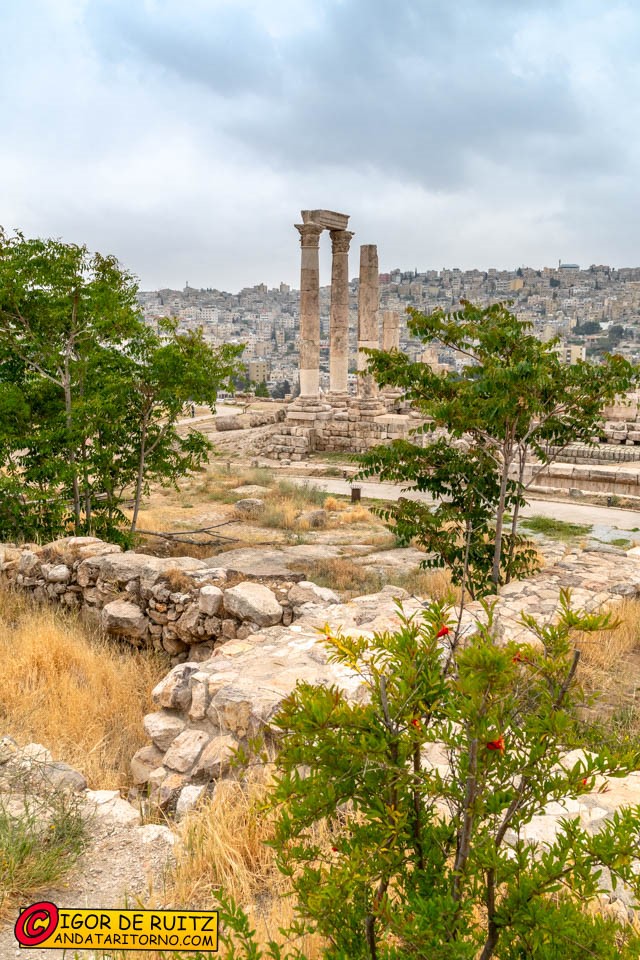Amman