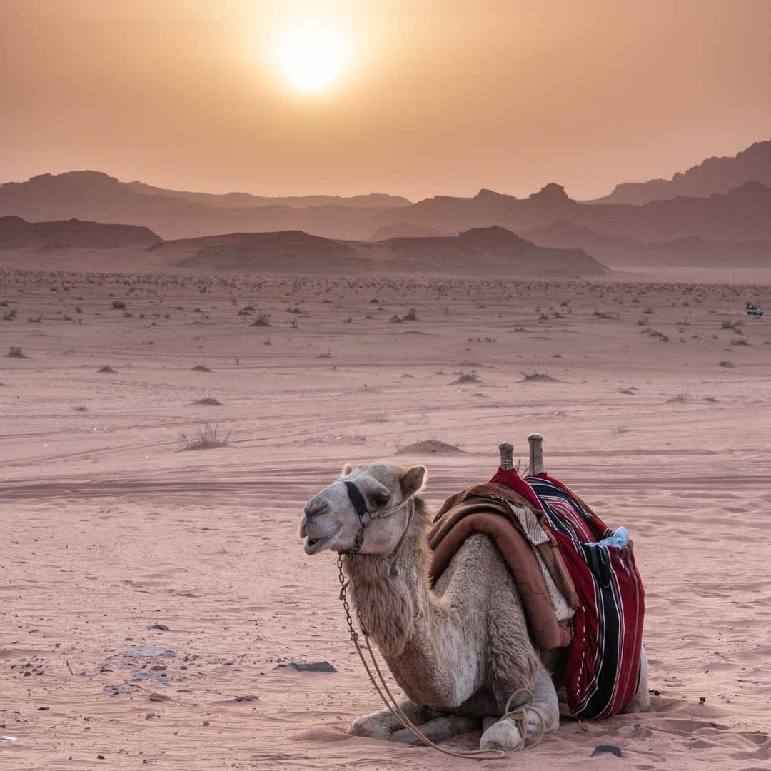 La Giordania in 7 giorni