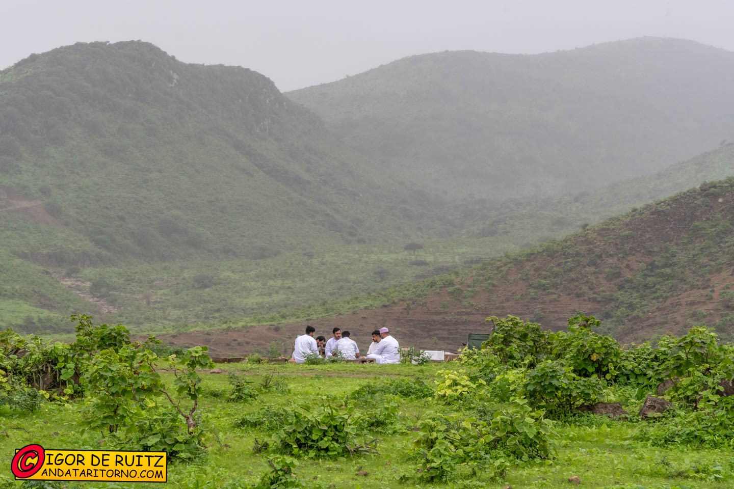 Dhofar